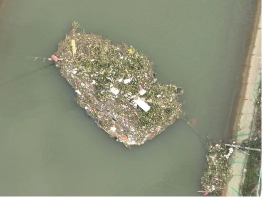 ca30cf22b1717e2dc9ae42568b090252.jpg 640.jpg